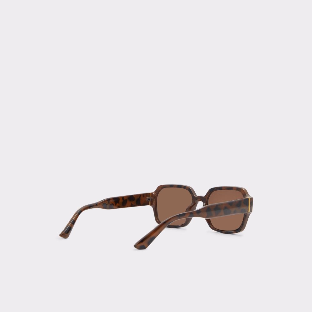 Férfi Aldo Quoll Sunglasses Napszemüveg Barna | 619-SMTWYG