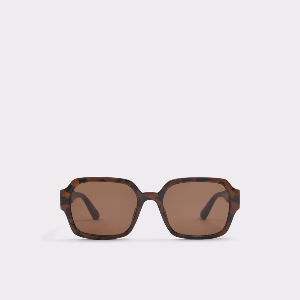 Férfi Aldo Quoll Sunglasses Napszemüveg Barna | 619-SMTWYG